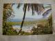 Castries  -  St. Lucia  -  West Indies - W.I.  D77825 - Saint Lucia