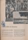 Delcampe - L'EFFORT TUNISIEN (1945) Par Le Service De L'Information Et De La Presse Du Protectorat Français En Tunisie, 68 Pages... - Histoire