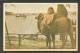 FINLAND WW II MILITARY FIELDPOST  KENTTÄPOSTI  1944 ON POSTCARD  CAMEL  LOOKING AT SHIP - Military / Militaires / Militair