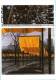 CPM1999, New York City, Central Park, The Gates, Christo / Trees / Arbres, Tissus, Voilages / Non écrit - Central Park