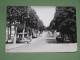 CPSM LORGUES,  LE COURS, Petite Animation, AUTOS VOITURES ANCIENNES, VAR 83 - Lorgues