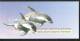 Australian Antarctic Territory 1988 Fauna Strip Of 5 MNH - Penguin Seal Albatross In Official Post Office Pack/folder - Other & Unclassified