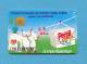 * ( 387 ) * - PERSIL MICRO PLUS - (  F303 - 988.1 ) - 4 Chiffres Gras Dans N° Lot B290E0088 - *** EC *** - Voir Scan - - Fehldrucke