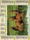 Calendrier  G-F  Des  Landes  40  De 1982 - Grand Format : 1981-90