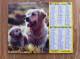 Calendrier Grand Format  1994 Lavigne  Golden Retriever Husky - Grand Format : 1991-00