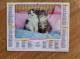 Calendrier Grand Format 1985 LAVIGNE JEAN Decontractes Les Chatons Douillets - Big : 1981-90