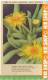 „Blumen“ Um 1950/1960, Ansichtskarte  Ungebrauchte Karte - Sonstige & Ohne Zuordnung