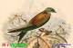 SA25-091  @  Swallow Hirondelles Zwaluwen Schwalben Golondrinas Bird , ( Postal Stationery , Articles Postaux ) - Schwalben