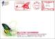 FDC Taiwan 2008 Butterfly Meter Stamp Map (5-5 Of TAIPEI 2008) Insect Fauna - FDC