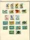 Delcampe - Hungary Collection 1958-1962 MH On Pages Cv 285 Euro - Collections