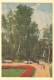 Ukraine, Lvov, Nook In Stry Park, 1962 Unused Postcard [11743] - Ukraine