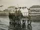 Cuxhaven Duhnen - Children - Horses  Coach  Carriage  RPPC    D81280 - Cuxhaven