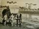 Cuxhaven Duhnen - Children - Horses  Coach  Carriage  RPPC    D81280 - Cuxhaven