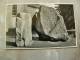 Runestenen Jelling, Danmark    D81328 - Dolmen & Menhirs