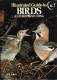 1980 - Neil ARDLEY - Illustrated Guide To Birds And Birdwatching - Vida Salvaje