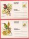 Carte Postale / Briefkaart / Postage Card : Birds - Oiseau - Vogels / Set Of 10 - Reeks Van 10 - Ciskei