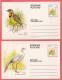 Carte Postale / Briefkaart / Postage Card : Birds - Oiseau - Vogels / Set Of 10 - Reeks Van 10 - Ciskei