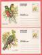 Carte Postale / Briefkaart / Postage Card : Birds - Oiseau - Vogels / Set Of 10 - Reeks Van 10 - Ciskei