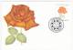 MONACO => Carte Maximum => Fleurs - Rose "Christophe Colomb" Et Rose "Prince De Monaco" - 1992 - (2 Cartes) - Maximumkarten (MC)