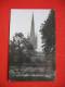 Norwich Cathedral From Cloister Gardens - Norwich