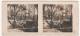 MILITARIA - WW II, Poland,  Die Deutsche Besetzung Der Polnischen 1939 - Brucke Bei Jardanow - Jordanów - Stereoscopes - Side-by-side Viewers