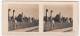 MILITARIA - WW II, Poland,  Die Deutsche Besetzung Der Polnischen 1939 - Die Ortschaft Trino Bei Lublin - Stereoscopes - Side-by-side Viewers