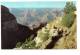 BR30824 On Bright Angel  Trail   Grand Canyon National    2 Scans - Grand Canyon