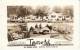 Asheville NC North Carolina, Tour-o-tel Motel, Autos, Room Interiors, Multi-views, C1950s Vintage Real Photo Postcard - Asheville