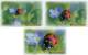 CROATIA - Ladybug - Set Of 3 Cards - 2000 - Mariquitas