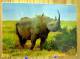 2 CARTES RHINOCEROS NOIR AFRIQUE DONT UNE AVEC UN PETIT - Neushoorn