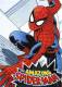 Entier Postal De 2007 Sur Carte Postale Avec Timbre Et Illustration "The Amazing Spider-Man" - 2001-10