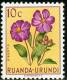 RUANDA URUNDI, 1953, FLORA, FIORI, FLOWERS, DISSOTIS, FRANCOBOLLO NUOVO (MLH*), Scott 114, YT 177, Bel. 177 - Nuovi