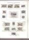 CZECHOSLOVAKIA    Collection Of  Mounted Mint And Used As Per Scan. ( 4 SCANS) - Collections, Lots & Séries