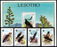 (013+20) Lesotho  Birds Of Prey / Oiseaux Rapaces / Greifvögel / Roofvogels   ** / Mnh  Michel 556-59 + BL 30 - Lesotho (1966-...)