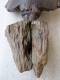 Delcampe - Buddha From Myanmar ( Burma ), Very Beautiful, 51 Cm ! - Holz