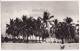 CAMEROUN~CAMEROON~DOUALA PARALLELE 4~1950s Photo Postcard RPPC ~PALM TREES~BEACH  [c4884] - Cameroon