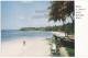 BARBADOS BWI  TROPICAL BEACH SCENE ST JAME'S COAST  PALM TREES Ca 1950s Vintage Postcard  [c4870] - Barbades