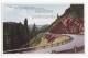 USA, Cody Road To Yellowstone Park - "S" Curve On SYLVAN PASS - C1950s Vintage Unused Postcard - Scenic Highway Road - USA National Parks