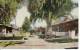 Pasadena California - Las Robles Court - Trees - Houses - Vintage 1913 - VG Cond. - Mailed To Danville P.Q. - 2 Scans - Other & Unclassified