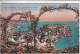 Monaco - Carte Postale De 1926 - Covers & Documents