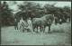 "Cutting The Corn".  Unused,  C1920. - Farmers