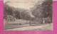 WERDAU   -  ** STADTPARK IN 1908 **    -   Verlag : Paul SCHORTMANN Aus WERDAU  N° / - Werdau