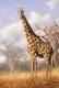 [NZ04-048   ]  Camelopardalis Giraffe  Girafe , Postal Stationery -Articles Postaux -- Postsache F - Giraffes