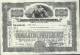 UNITED PRINTERS AND PUBLISHERS - 100 SHARES - 25.05.1937 - 2 SCANS - S - V