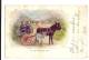 1905 US Donkey Cart Ppc. Omaha To Butte Montana, Train Late Mail Delayed Cachet - Poststempel