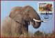 Uganda 1983 - WWF African Elephants 4 FDI Maxicards, Wild Animals Maximum Cards, FDC - Elefanten
