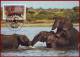 Uganda 1983 - WWF African Elephants 4 FDI Maxicards, Wild Animals Maximum Cards, FDC - Elefanten