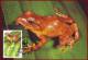 Fiji 1988 - WWF Tree Frogs 4 FDI Maxicards, Wild Life, Animals, Fauna Maximum Cards, FDC - Kikkers