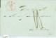 VOORLOPER BRIEFOMSLAG Uit 1850 Van SNEEK Naar LEEUWARDEN * PORTO 10 CT (6584) - ...-1852 Préphilatélie