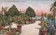 Lago Maggiore - Isola Bella - Giardino, 1926, Timbres - Parks & Gardens